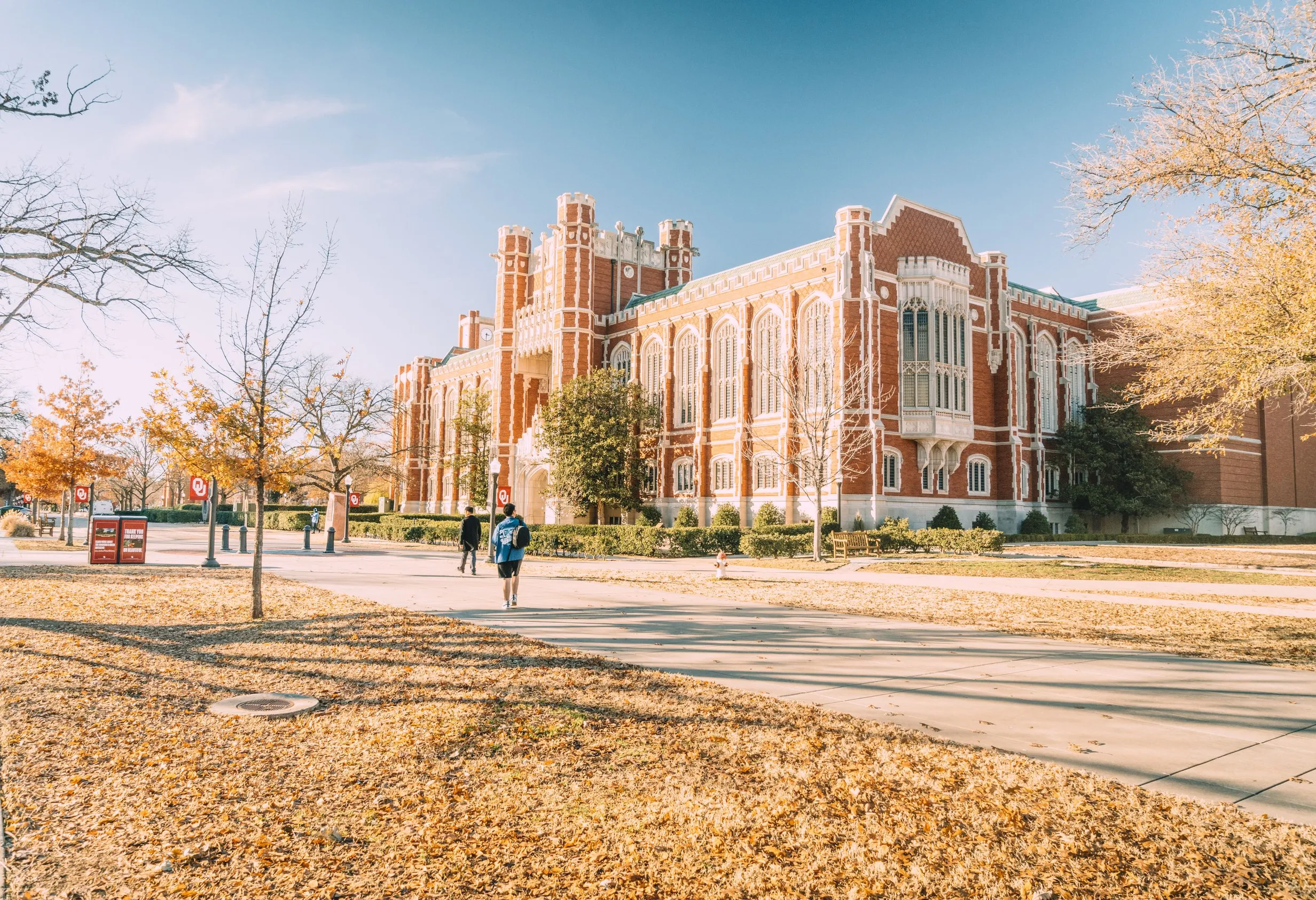 大学校园秋景