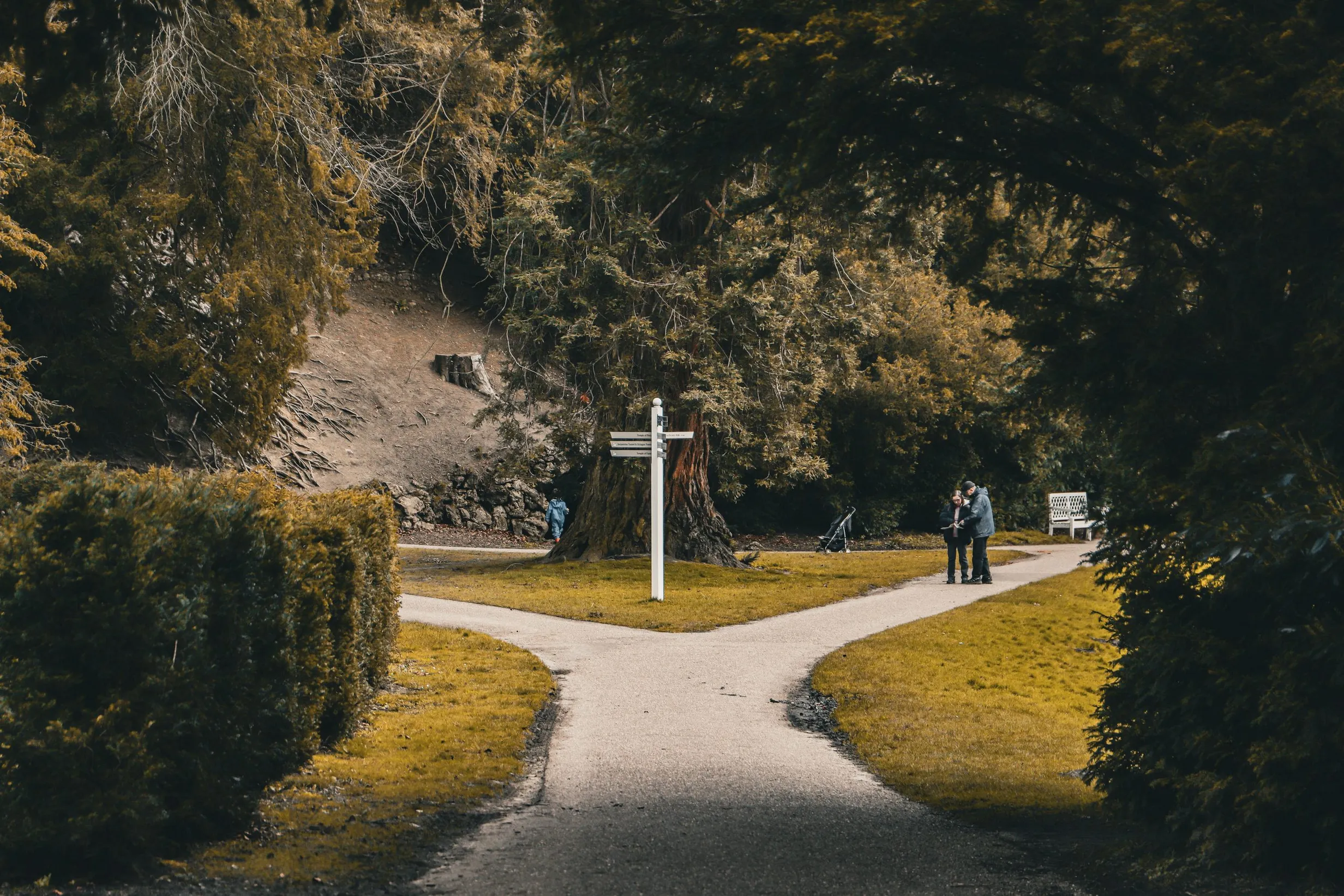 岔路口的风景