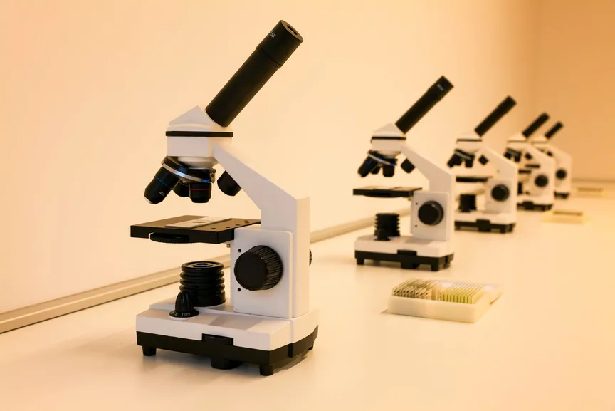 医学方向Research Paper